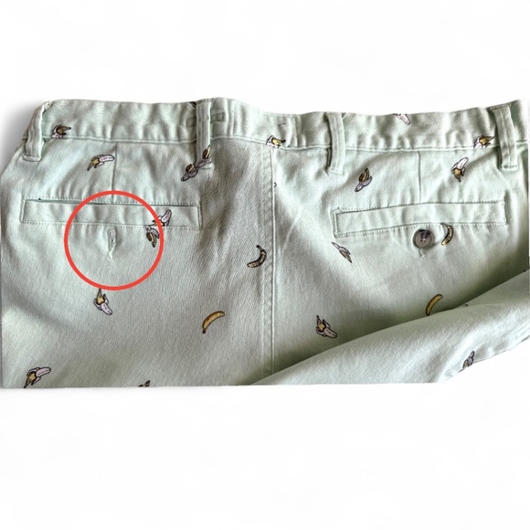 Raw Yarn Industries Men’s Stretch Twill Shorts Size 34 – Mint Green Banana Print - Picture 4 of 4